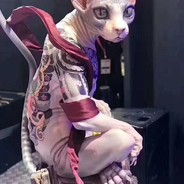 凶的批爆的小轰轰