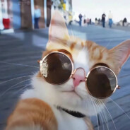 丿Amour _ 情绪＇