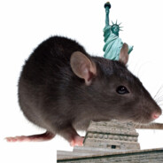 New York Rat