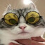 SUEG