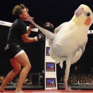 хуйню исполняю