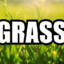 GrassLord