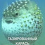 Карась