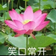 宇宙无敌黄金暴龙战士