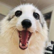 壁炉之家第一机动位琳妮特