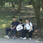 霜叶红于二月花