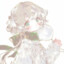 石榴乌龙