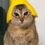 не курю's avatar
