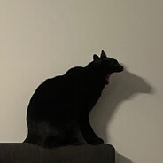 Pixel