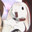 noot