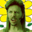 joe plant