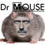Paul die Maus