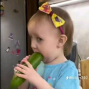 Řĕđ pupşìķ Aquanta