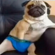 𝘮𝘷𝘻𝘰 ♿