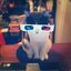 3D CAT