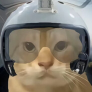 猫儿这个壮志凌云