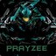 ✪ PrayZee ™ ✔  csgobig.com