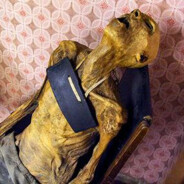 76103878400288712278489922811