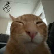 Leky