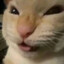 Dev1ne Reformed