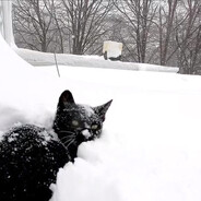 Evil Mouth Raper 3500