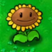 阳光生产队队长