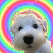 撞到您了很抱歉