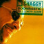 Shaggy