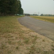 你爷爷的爷爷的爸爸