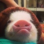 名字越奇葩老王越好找