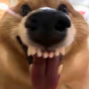 在下余某请多指教