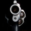 Smith &amp; Wesson