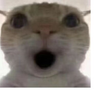 有种说不上来的,我称它为感觉。