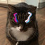 InternetStranger