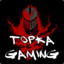 TopkaGaming CSGO-SKINS.COM