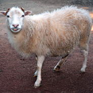 мерзкий уебан