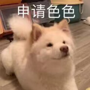 月宝只想当小狗呜呜