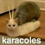 sopa de caracol