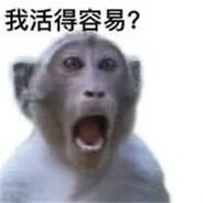 你永远勝過別人