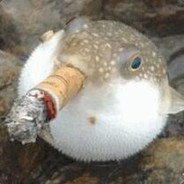 在座的各位都是辣鸡