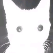 Blindo