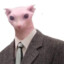 BaconTATICO