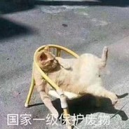 臭弟弟，给爷爬开