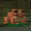 Mr.FrogMan