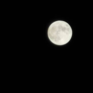 想睡姐姐的大床