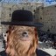 Jewbacca