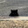 虚空猫 #BanGraves