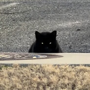 虚空猫 #BanGraves
