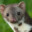 LukyS ʕ•ᴥ•ʔ