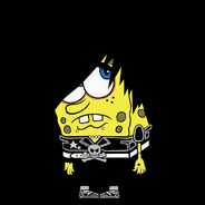 Tryapka barbos negr konchenyi